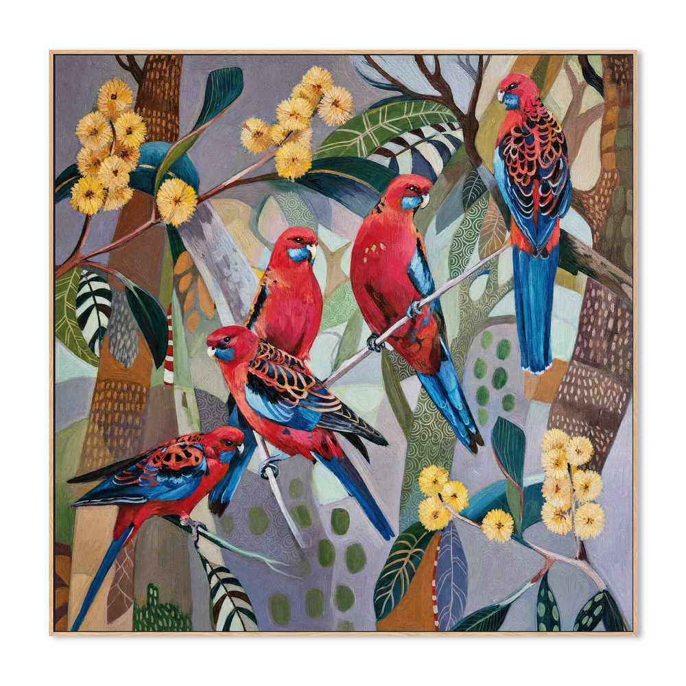 Crimson Rosellas with Wattle