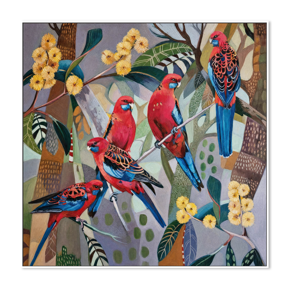Crimson Rosellas with Wattle