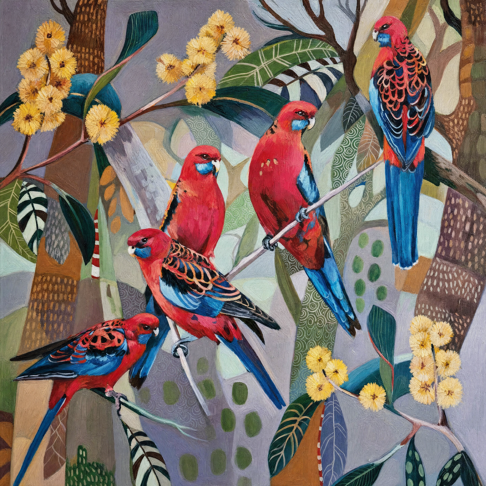 Crimson Rosellas with Wattle