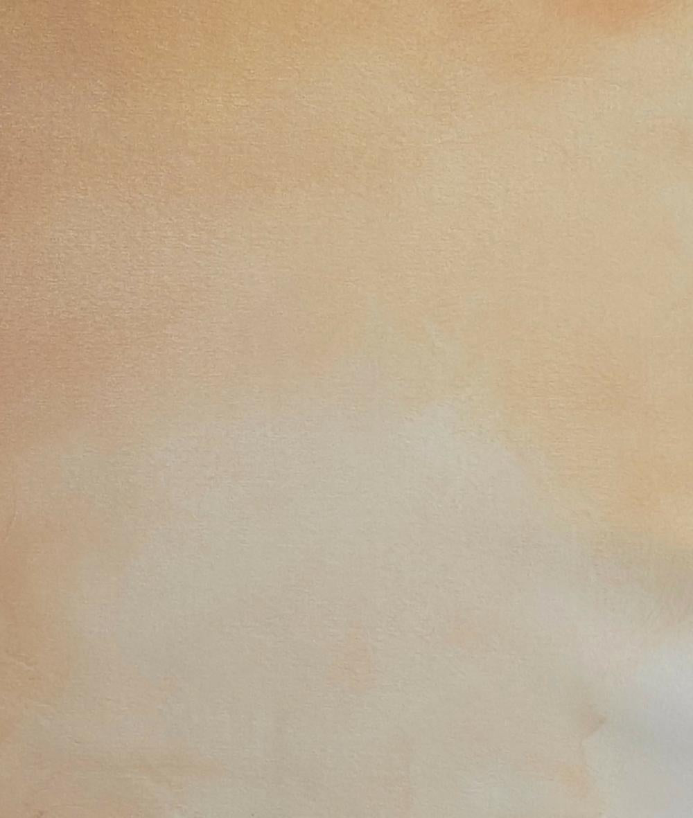 Terra Light Il-by-Gabriela Azar Schreiner Original Art-original art-Gioia