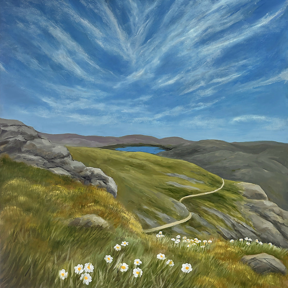 The High Country-by-Pamela Gleeson-original art-Gioia
