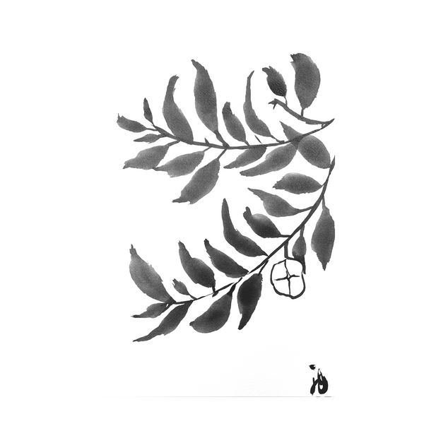 Black Ink Drawing 4, Original Hand Painting Canvas By Julia Ockert