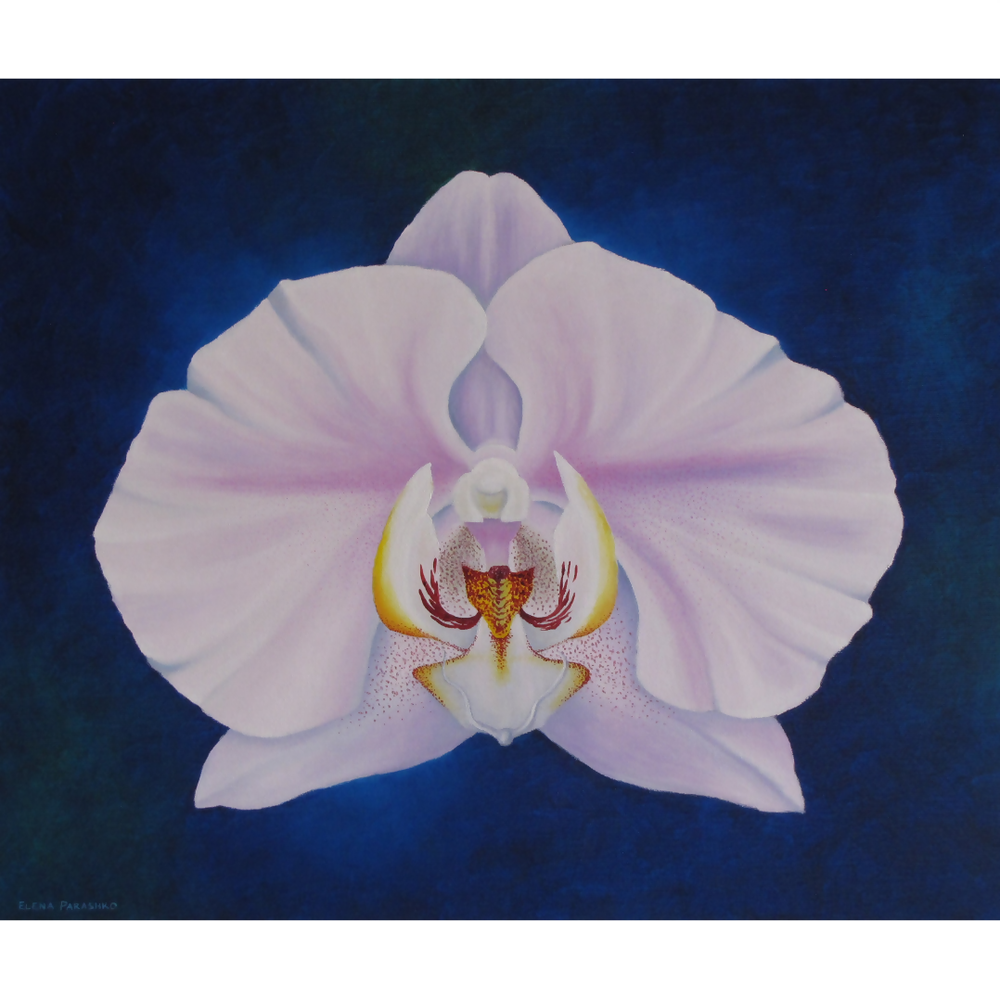 Tropical Orchids-by-Elena Parashko-original art-Gioia
