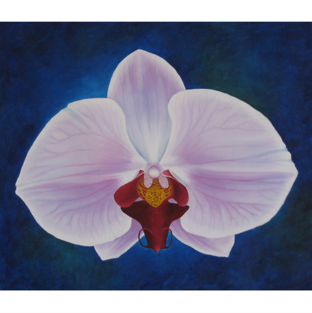 Tropical Orchids-by-Elena Parashko-original art-Gioia
