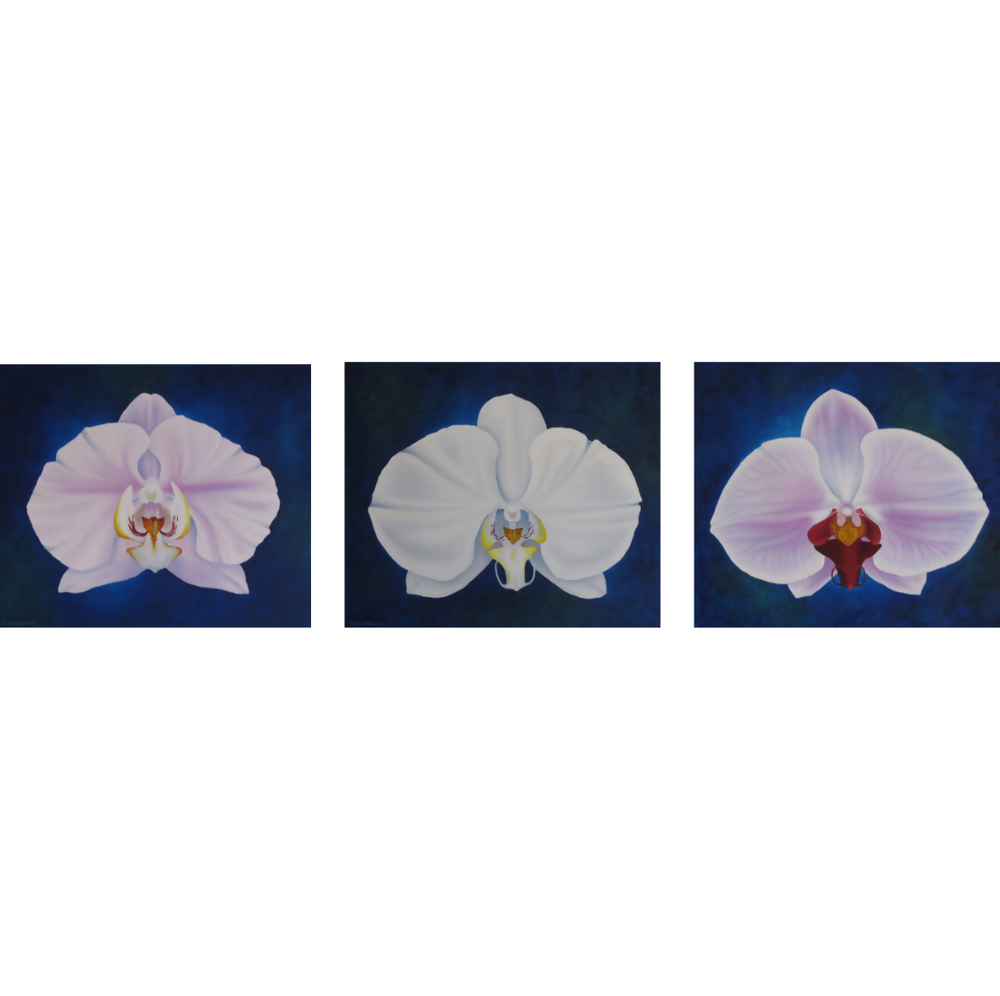 Tropical Orchids-by-Elena Parashko-original art-Gioia