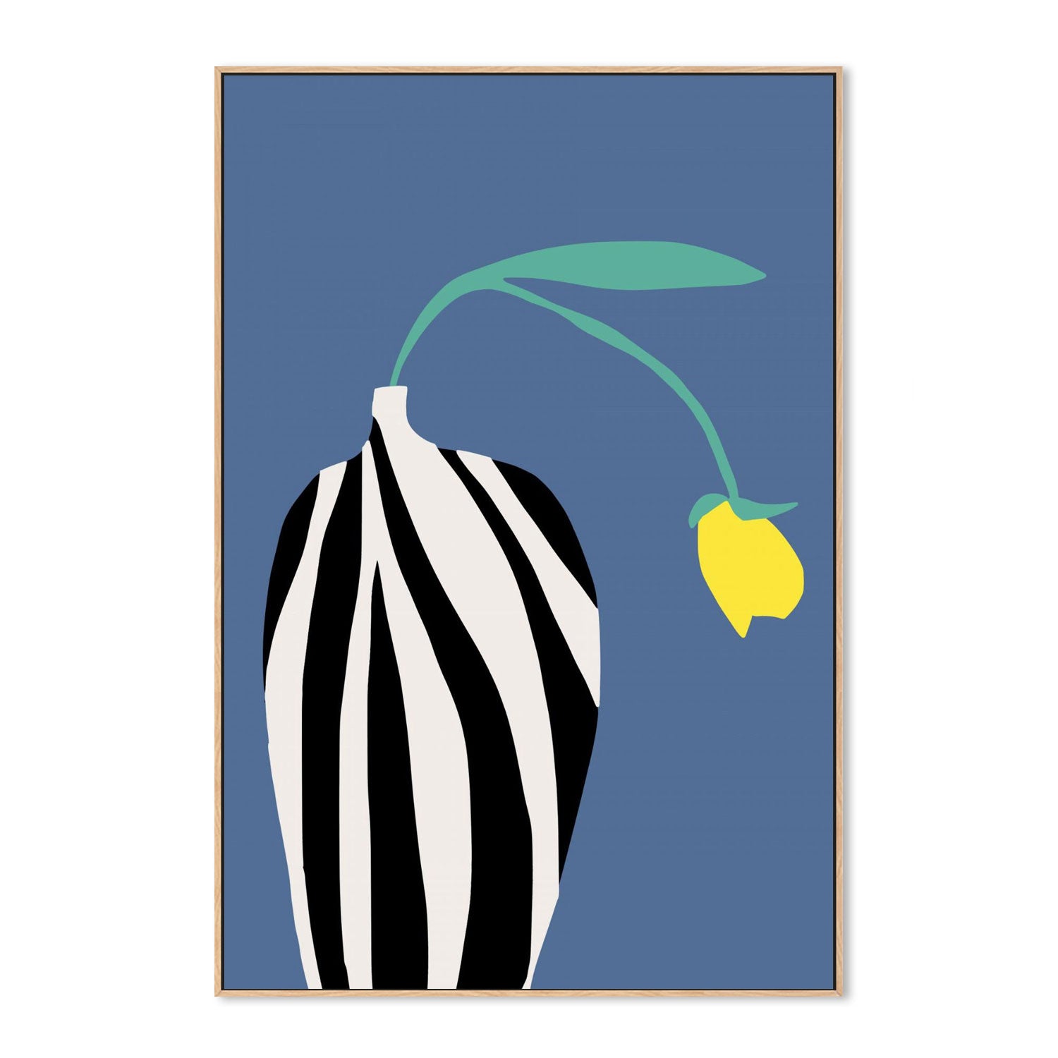 Tulip In Zebra Striped Vase