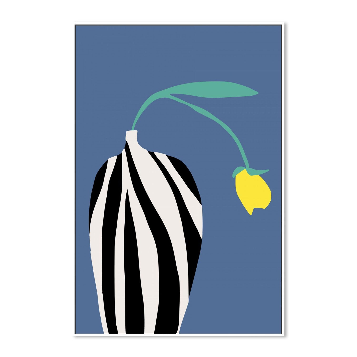 Tulip In Zebra Striped Vase