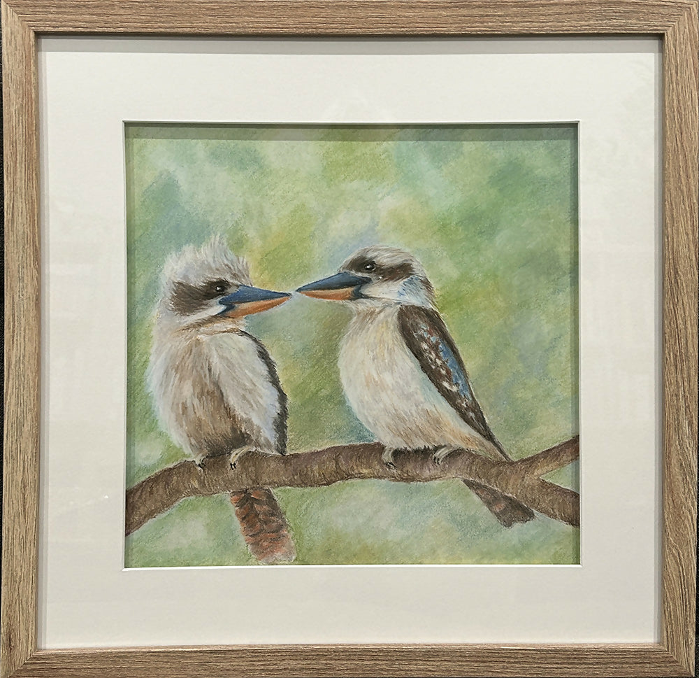 Kookaburras