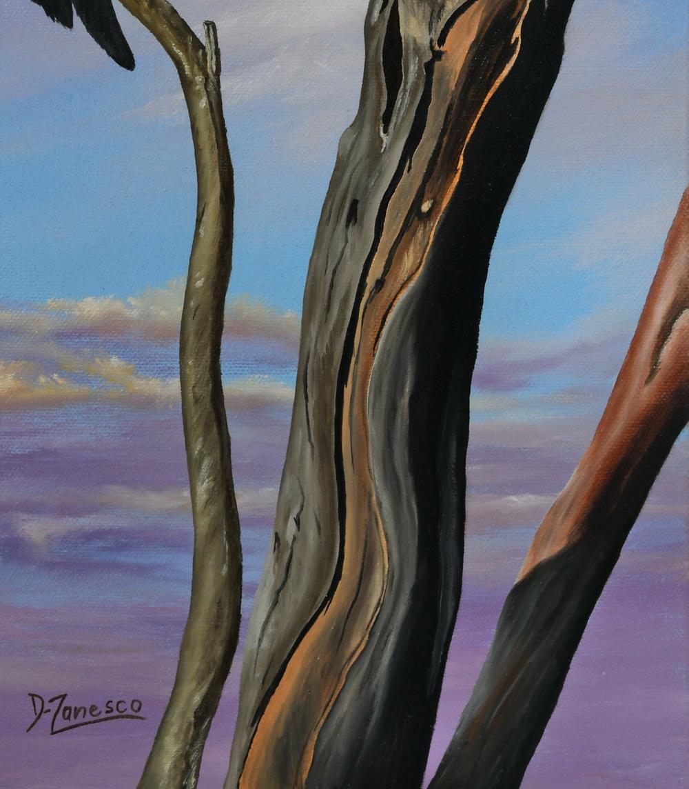 Up High in The Morning Light Galah-by-Dario Zanesco Original Art-original art-Gioia