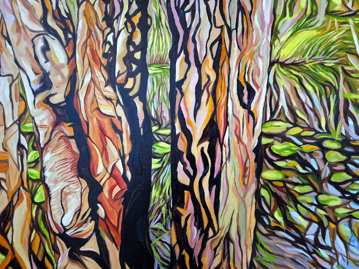 Paperbarks at Urunga Wetlands