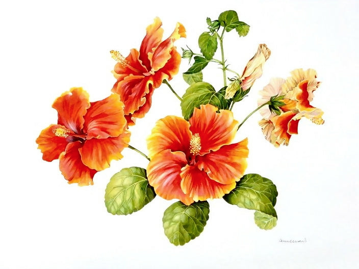 Eye Do Hibiscus , Original Artwork