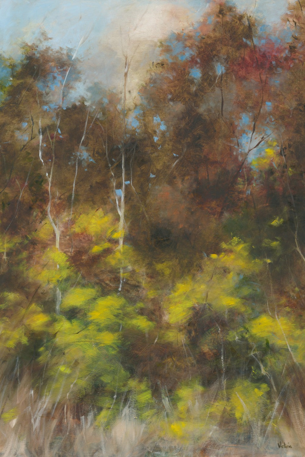 Joy 4 – Fleeting Colour