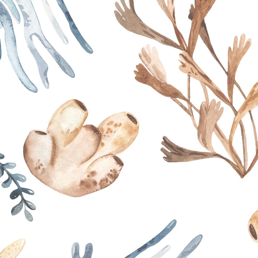Watercolor Underwater Life-wallpaper-eco-friendly-easy-removal-Gioia Wall Art-3