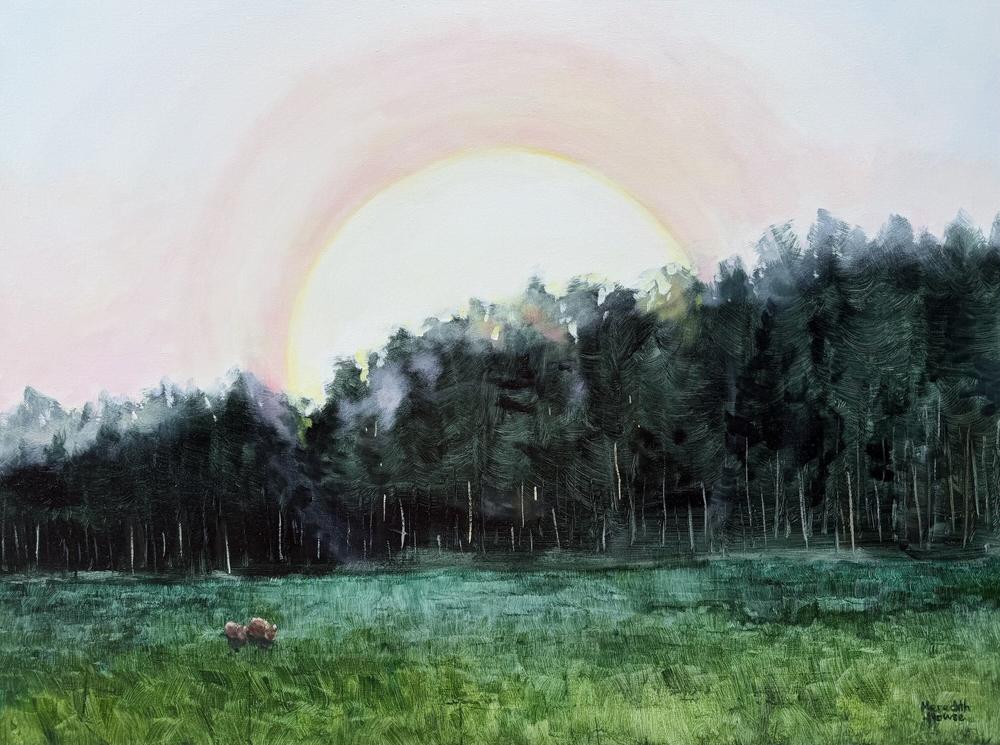 Wombats at first Light. Original hand-painted artwork by Meredith Howse.-by-Meredith Howse Original Art-original art-Gioia