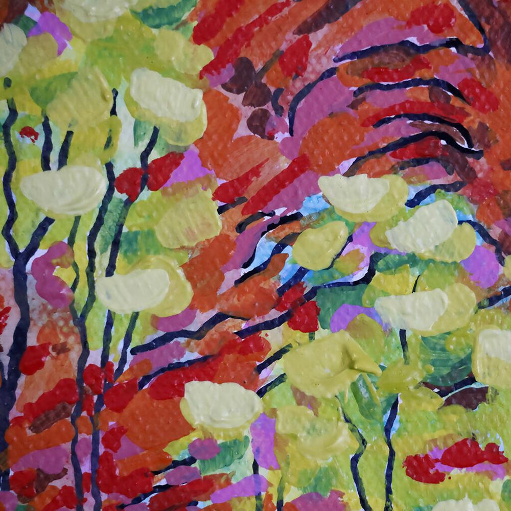 The Patterns of Nature