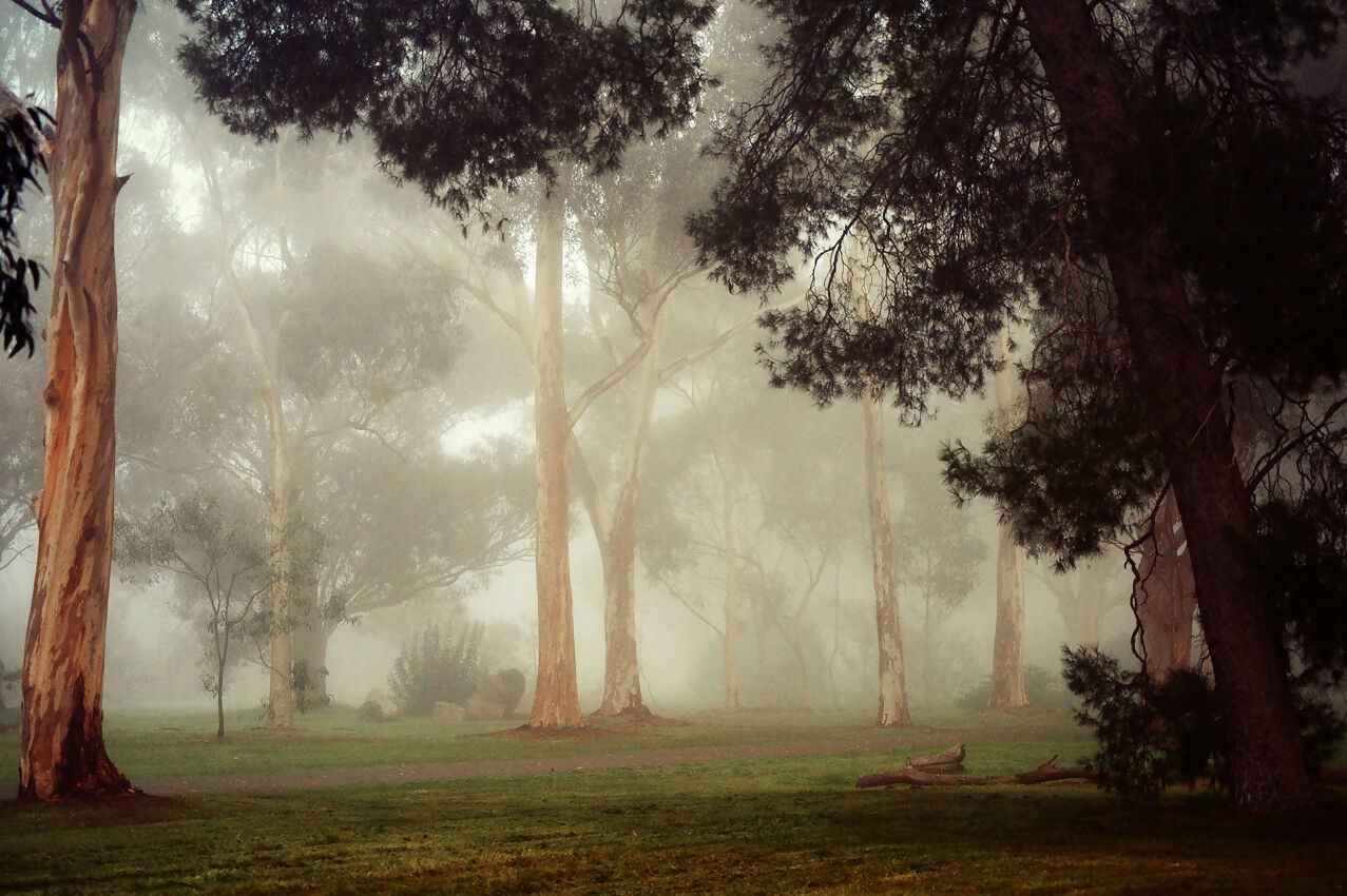 Gums at Pakapakanthi 5