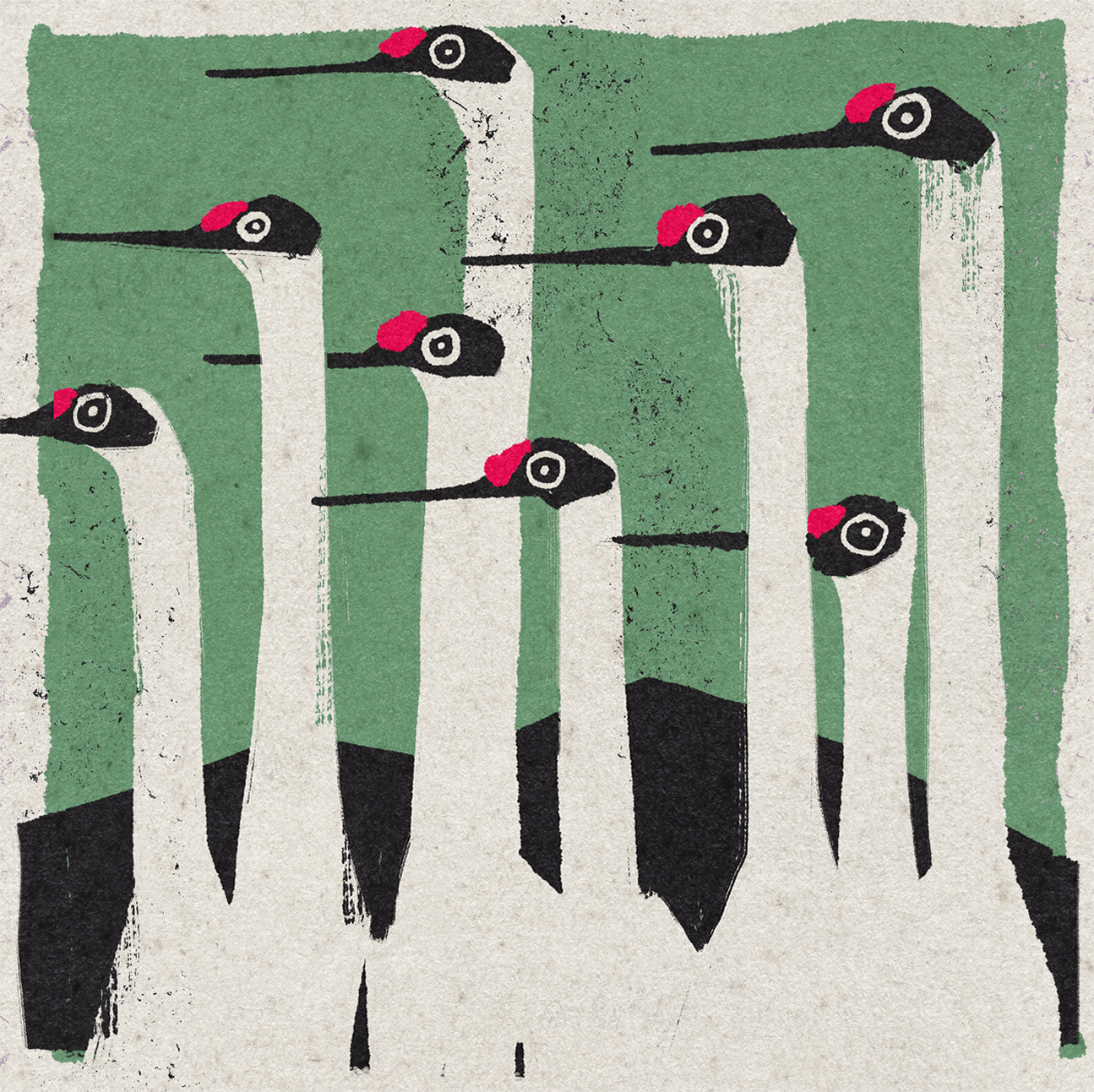 Wild Spectators