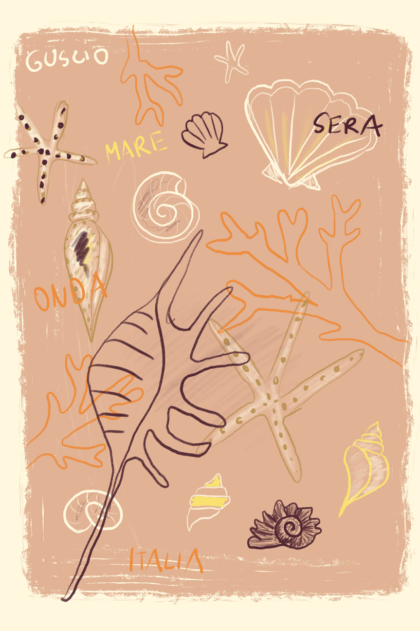 Abstract Shell Posters Shells |Wall Art Print Framed Canvas Poster – Gioia Wall Art