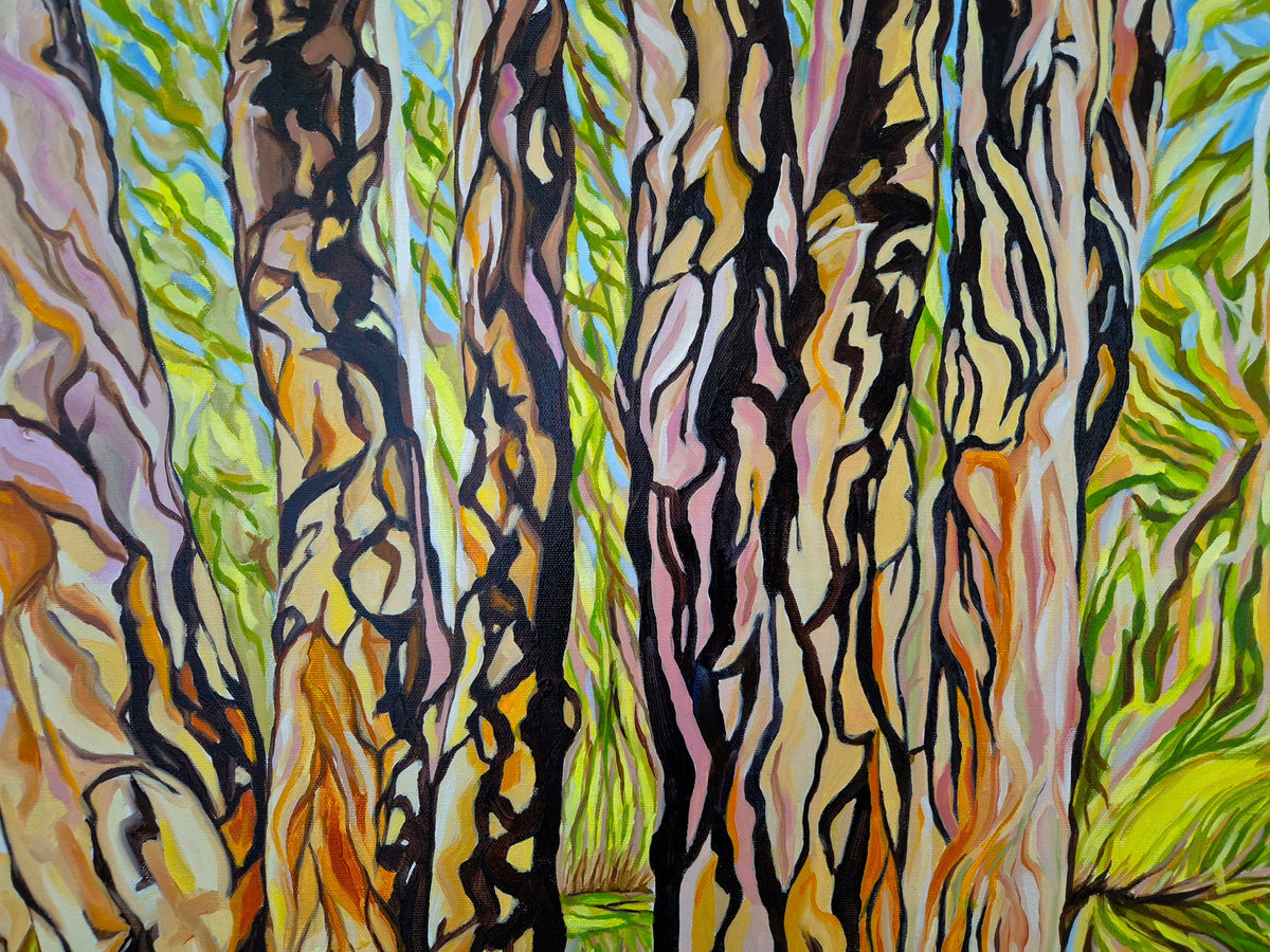 Paperbarks at Urunga Wetlands