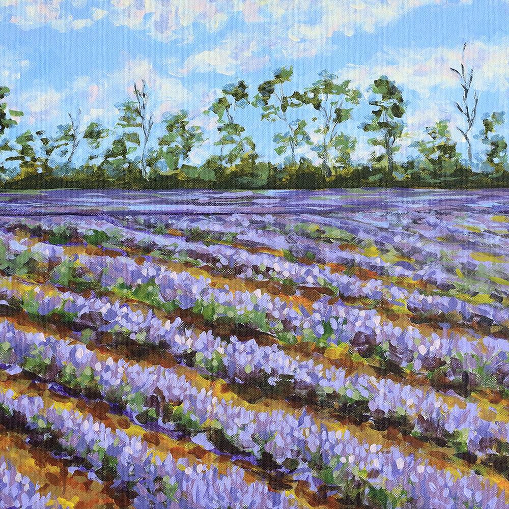 Moments in Lavender
