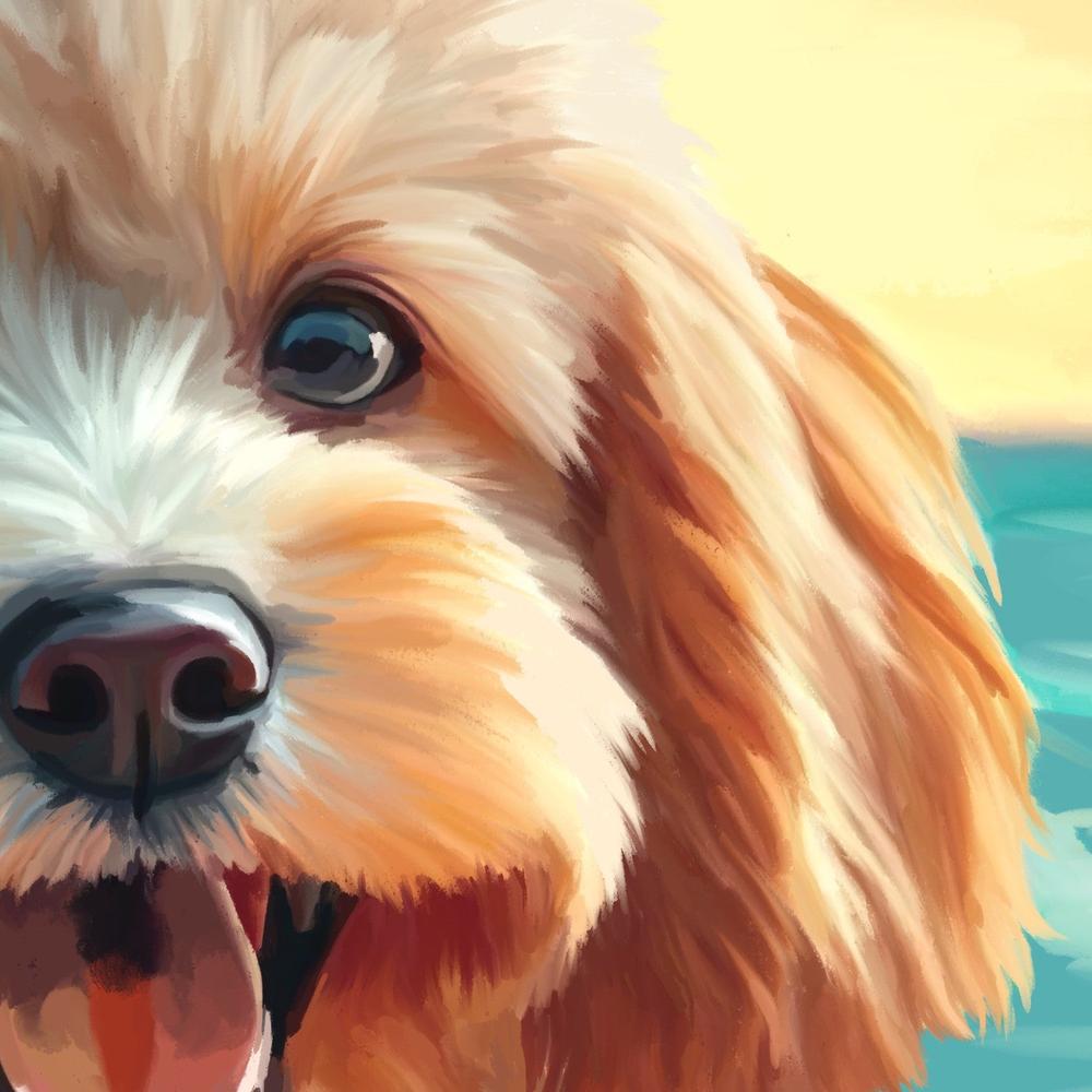 Beach Dog