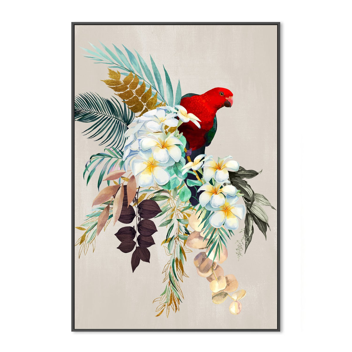 Red Macaw