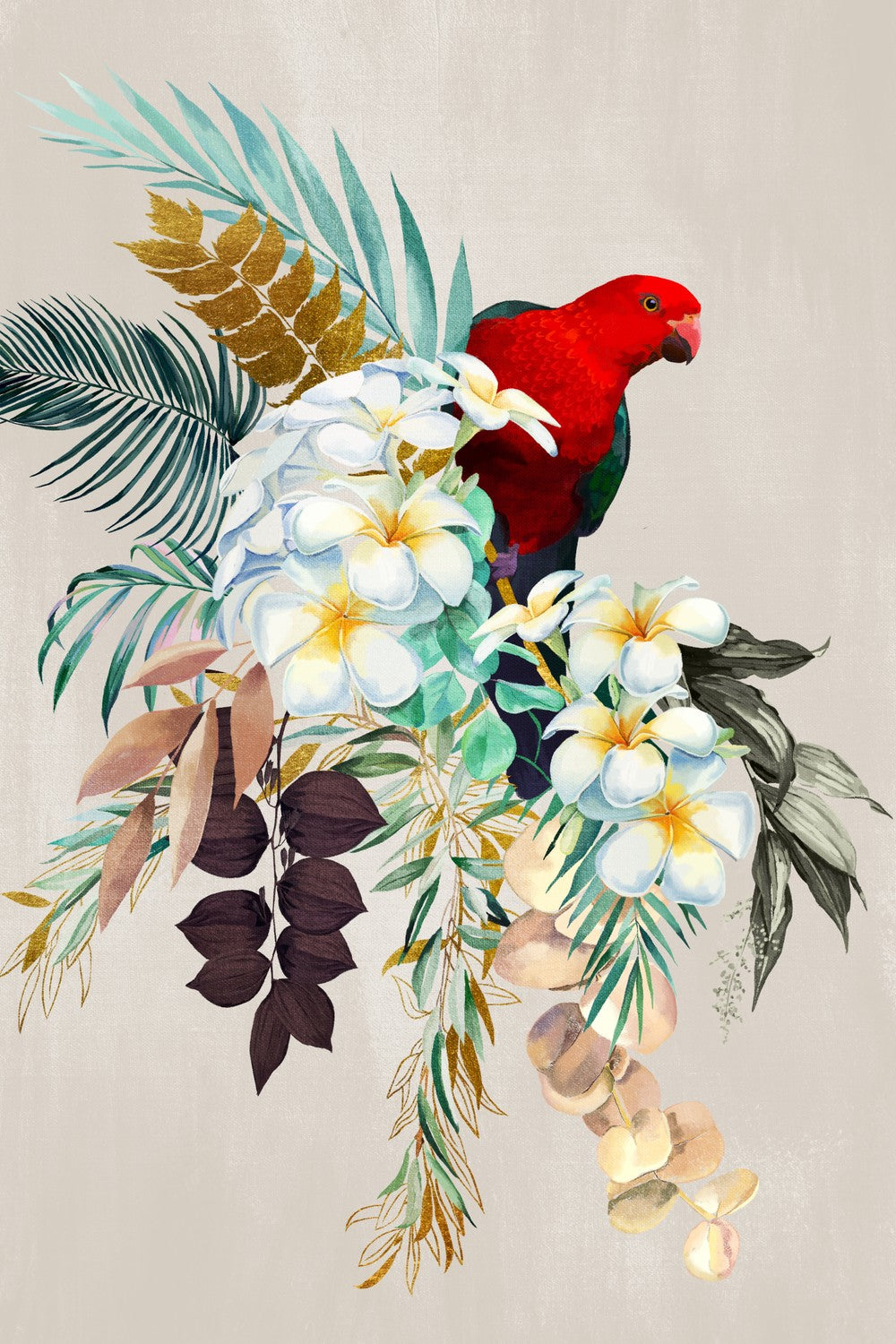 Red Macaw