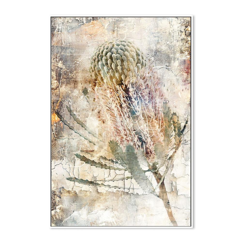 wall-art-print-canvas-poster-framed-Aged Banksia Bloom-5