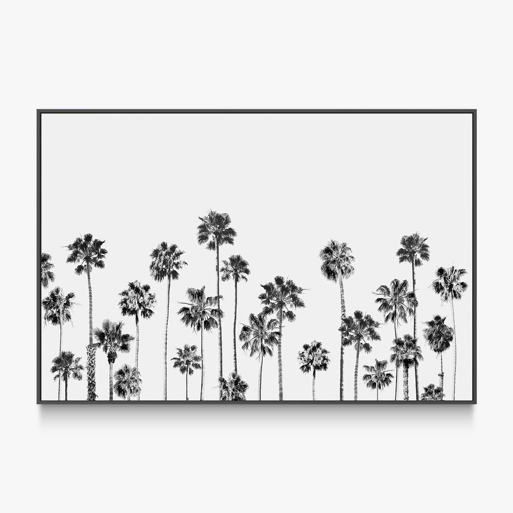 Black and White Palms, Style B-by-Gal Pittel-wall-art-print-canvas-poster-framed-Gioia