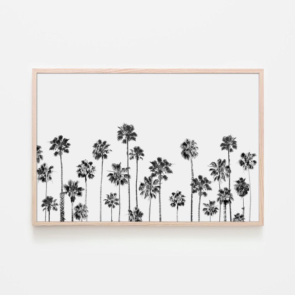 Black and White Palms, Style B-by-Gal Pittel-wall-art-print-canvas-poster-framed-Gioia