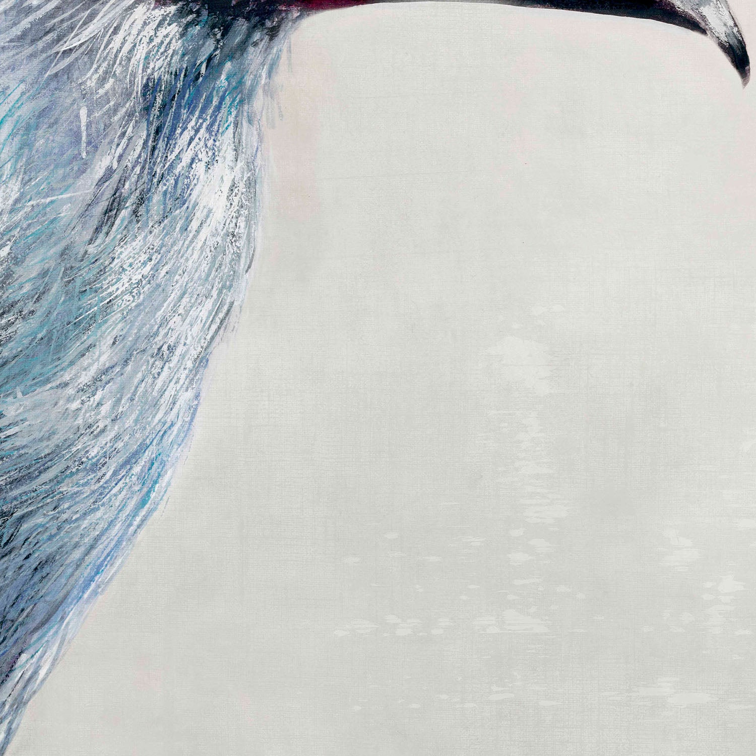 Black billed Mountain Toucan-by-Jacob Q-wall-art-print-canvas-poster-framed-Gioia