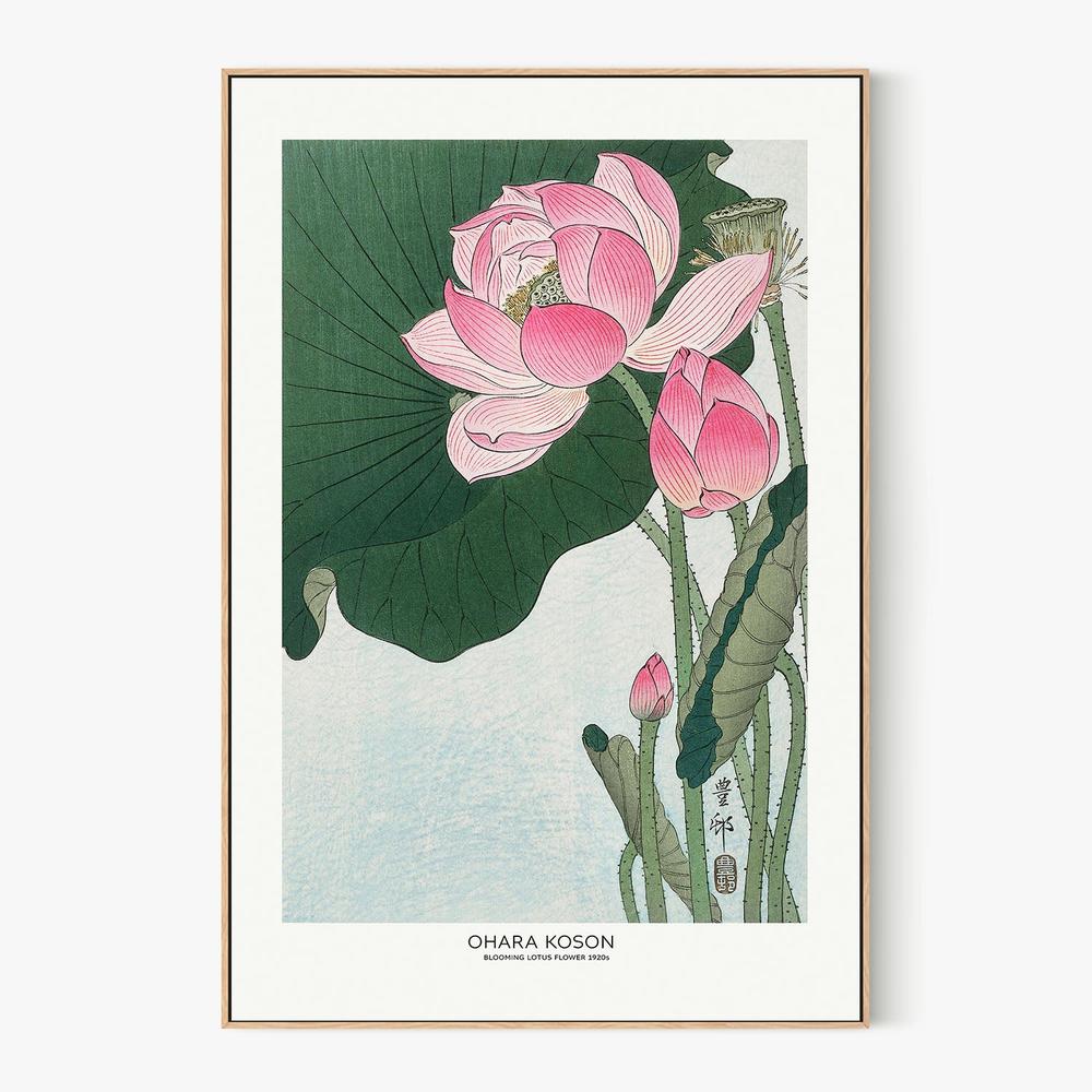 Blooming Lotus Flowers-by-Ohara Koson-wall-art-print-canvas-poster-framed-Gioia