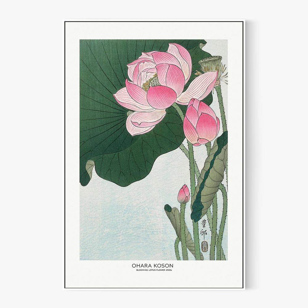 Blooming Lotus Flowers-by-Ohara Koson-wall-art-print-canvas-poster-framed-Gioia