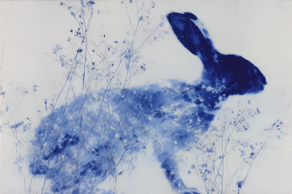 Blue Rabbit Silhouette with Wildflowers-by-Chromatic Storm Studio-wall-art-print-canvas-poster-framed-Gioia