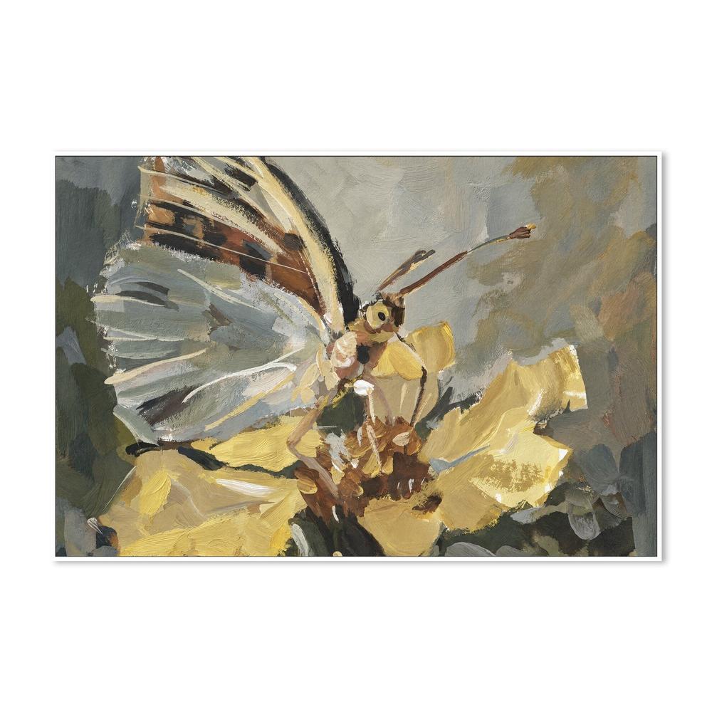Butterfly in Golden Light-by-Gioia Wall Art-wall-art-print-canvas-poster-framed-Gioia