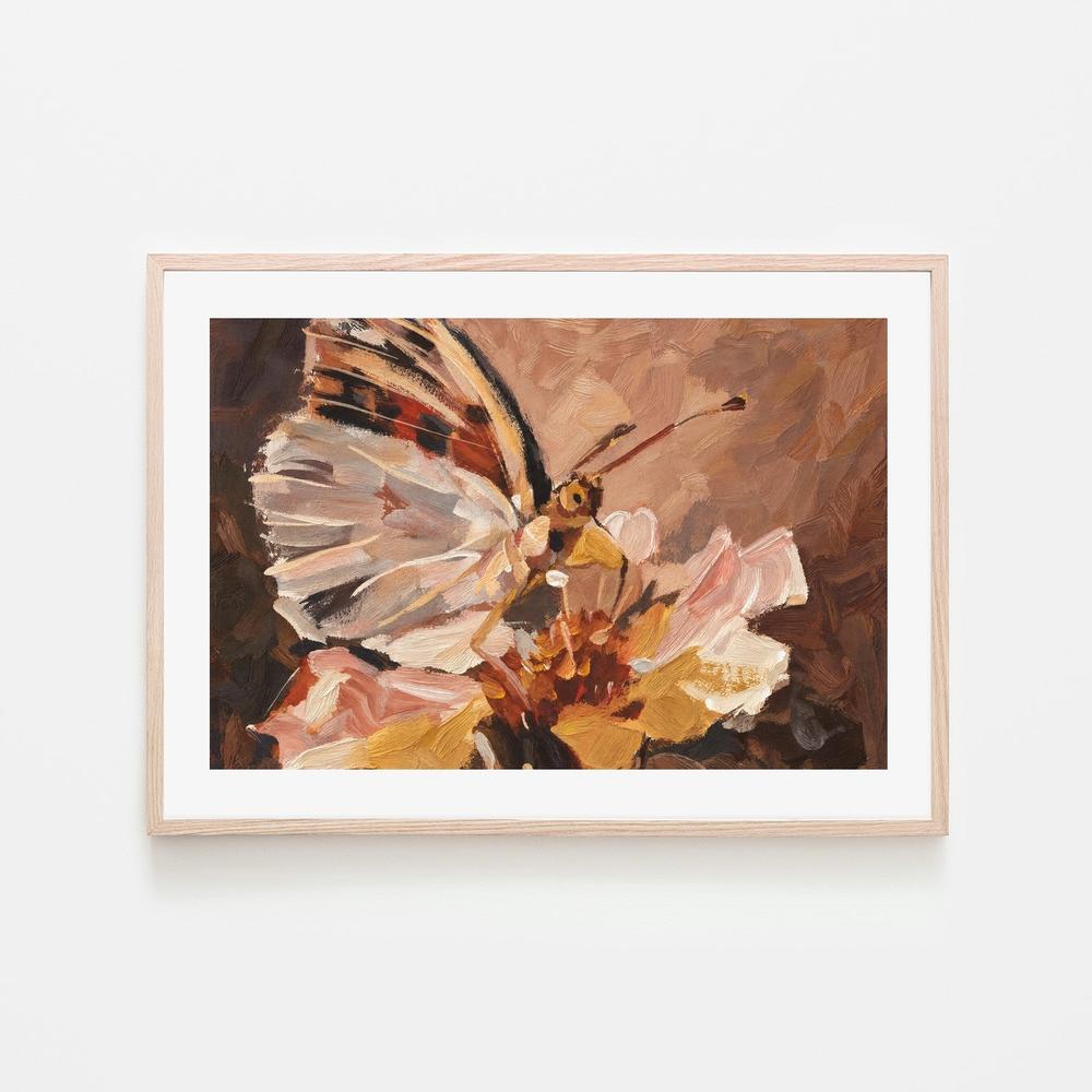 Butterfly in Peach Light-by-Gioia Wall Art-wall-art-print-canvas-poster-framed-Gioia