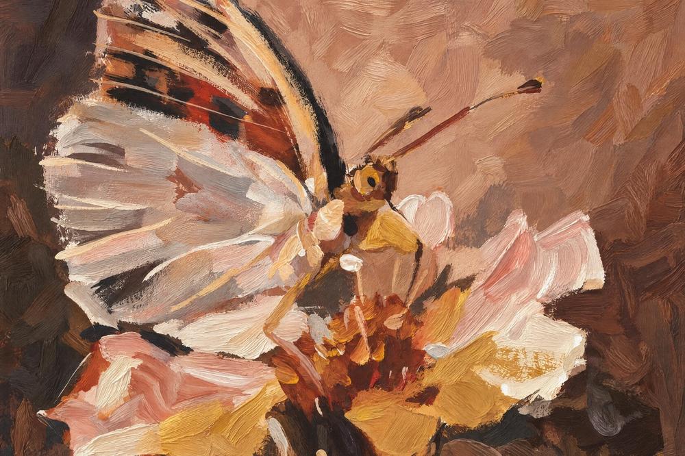 Butterfly in Peach Light-by-Gioia Wall Art-wall-art-print-canvas-poster-framed-Gioia