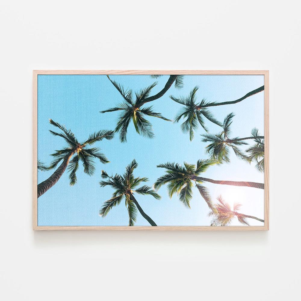 California Sky-by-Gal Pittel-wall-art-print-canvas-poster-framed-Gioia