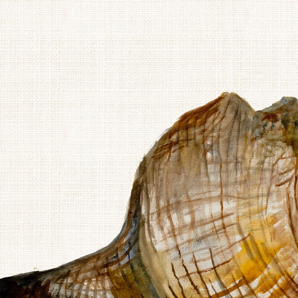 Conch Shell-by-Jacob Q-wall-art-print-canvas-poster-framed-Gioia