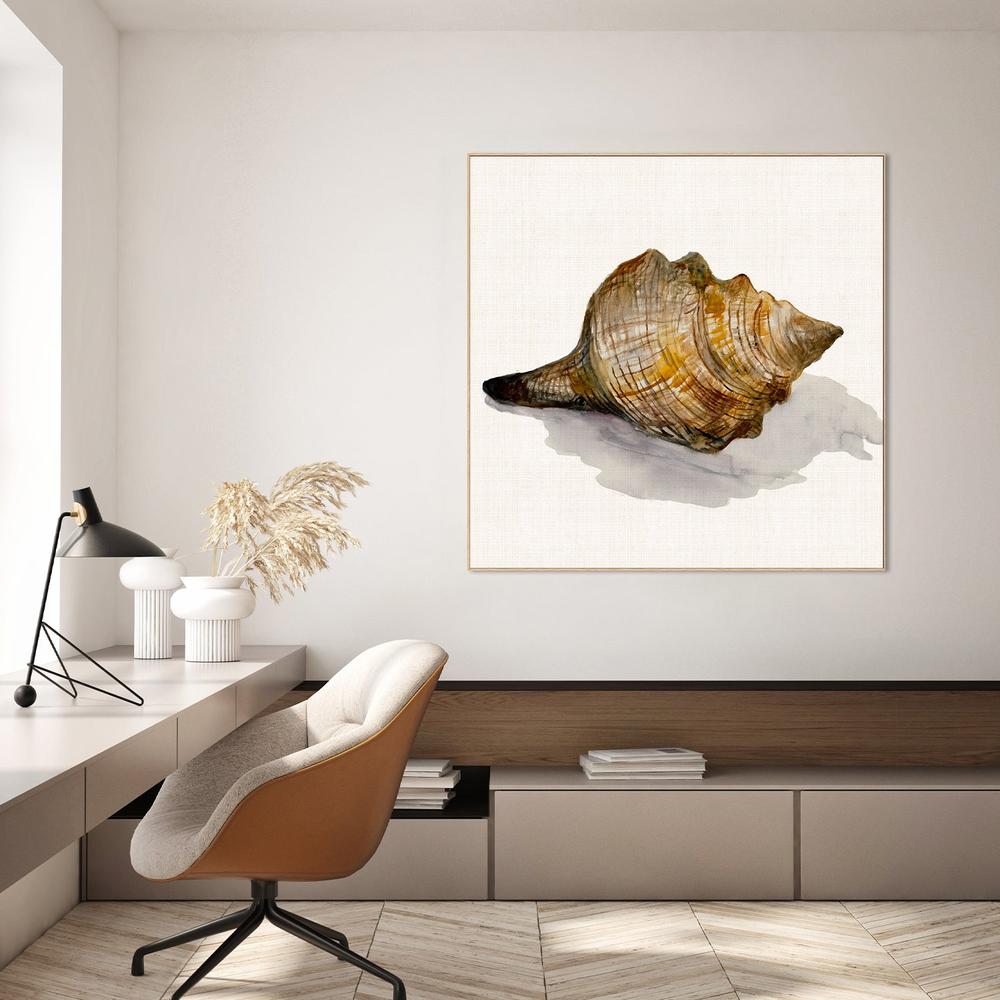Conch Shell-by-Jacob Q-wall-art-print-canvas-poster-framed-Gioia