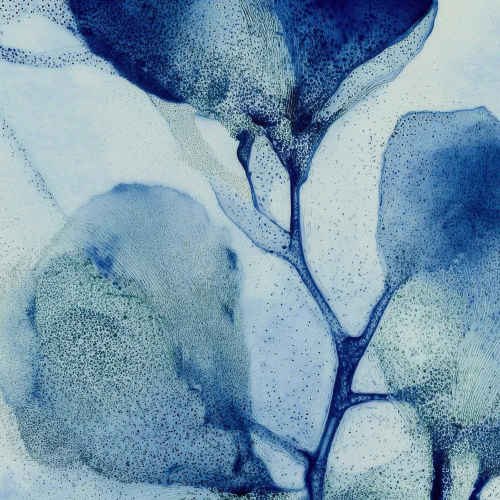 Cyanotype Cherry Branch-by-Jordão de Abreu-wall-art-print-canvas-poster-framed-Gioia