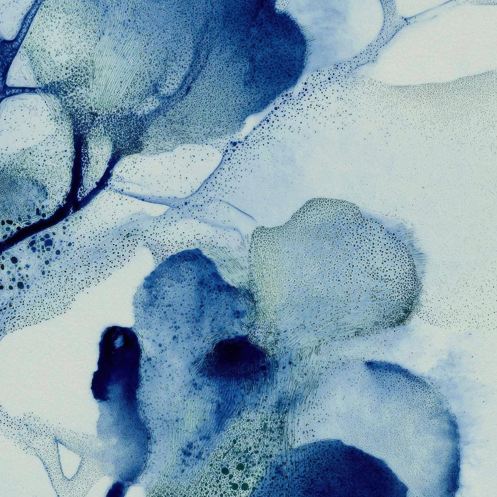 Cyanotype Cherry Branch-by-Jordão de Abreu-wall-art-print-canvas-poster-framed-Gioia