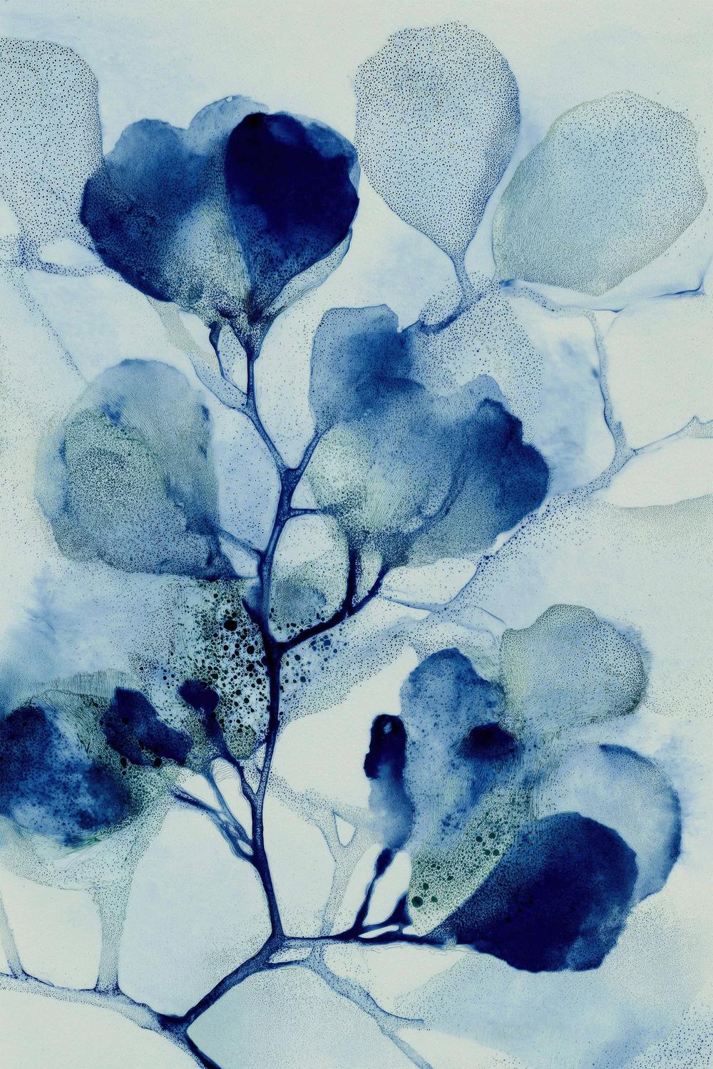 Cyanotype Cherry Branch-by-Jordão de Abreu-wall-art-print-canvas-poster-framed-Gioia