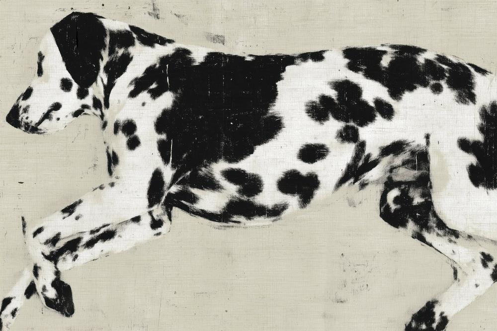 Dalmatian Dog Minimalist-by-Jordão de Abreu-wall-art-print-canvas-poster-framed-Gioia