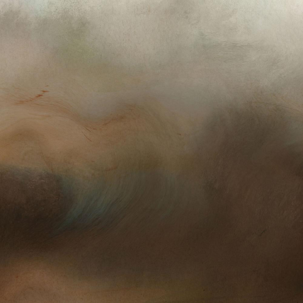 Earthy Abstract, Style B-by-Danhui Nai-wall-art-print-canvas-poster-framed-Gioia