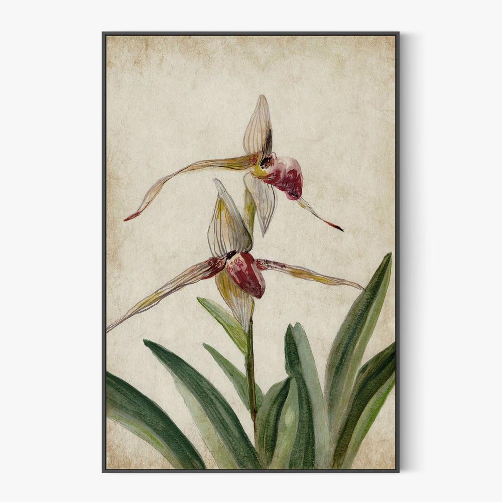 Elegance Unveiled, Style A-by-Jacob Q-wall-art-print-canvas-poster-framed-Gioia