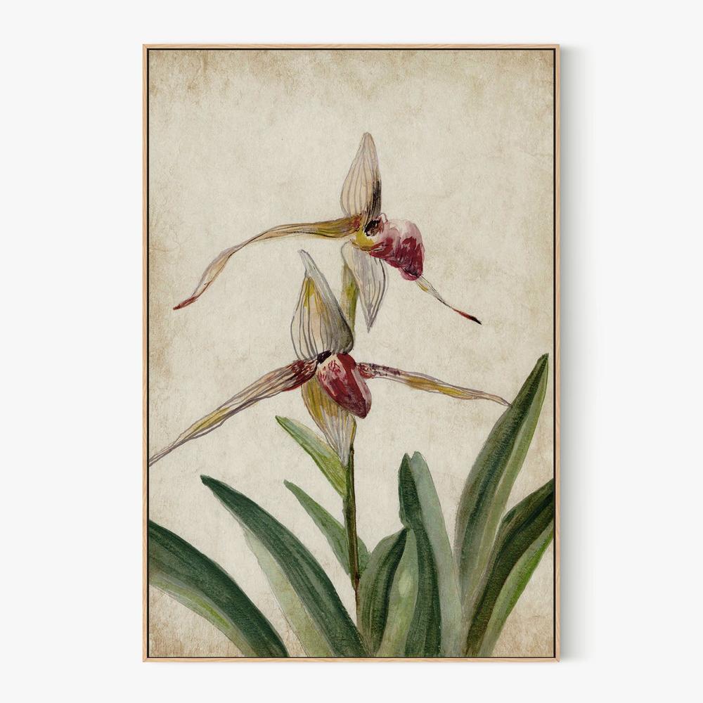 Elegance Unveiled, Style A-by-Jacob Q-wall-art-print-canvas-poster-framed-Gioia