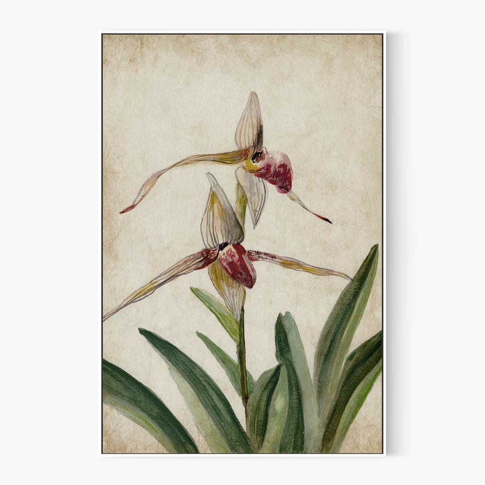 Elegance Unveiled, Style A-by-Jacob Q-wall-art-print-canvas-poster-framed-Gioia