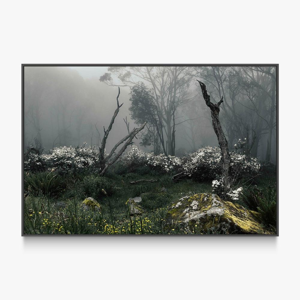Fogscape-by-Andrew Paranavitana-wall-art-print-canvas-poster-framed-Gioia