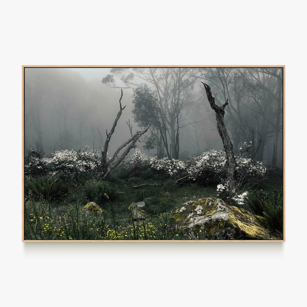 Fogscape-by-Andrew Paranavitana-wall-art-print-canvas-poster-framed-Gioia